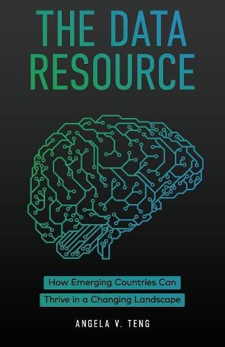 Cover image for The Data Resource: How Emerging Countries Can Thrive in a Changing Landscape