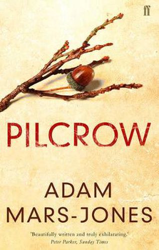 Cover image for Pilcrow