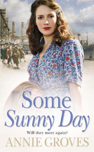 Cover image for Some Sunny Day