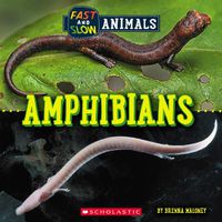 Cover image for Fast and Slow: Amphibians (Wild World)