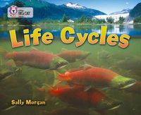 Cover image for Life Cycles: Band 16/Sapphire