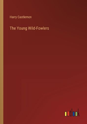 Cover image for The Young Wild-Fowlers