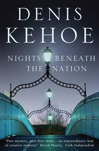 Cover image for Nights Beneath the Nation