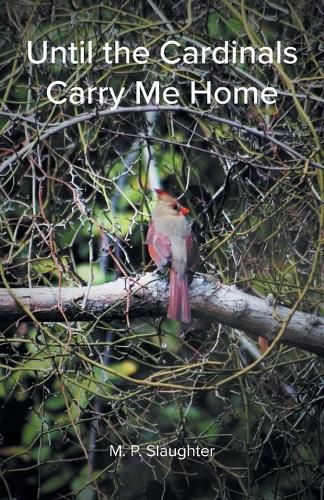 Cover image for Until the Cardinals Carry Me Home