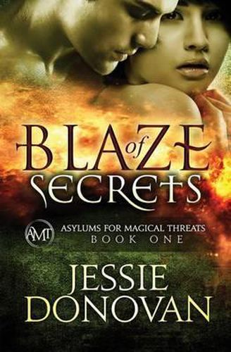 Cover image for Blaze of Secrets