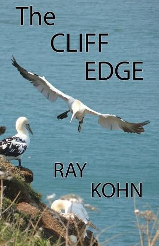 Cover image for The CLIFF EDGE