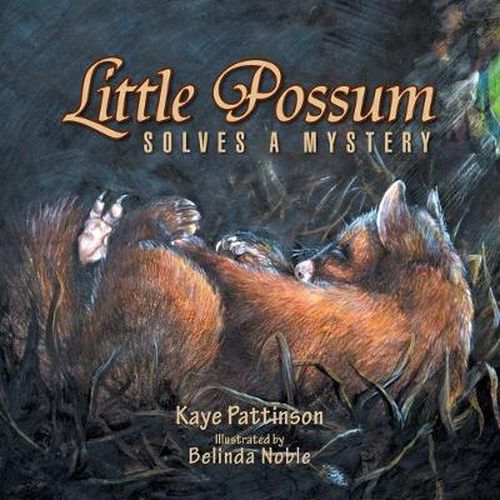 Cover image for Little Possum Solves a Mystery