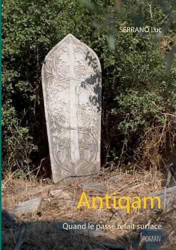 Cover image for Antiqam