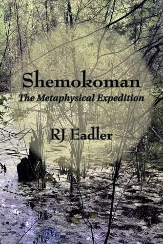 Cover image for Shemokoman: The Metaphysical Expedition