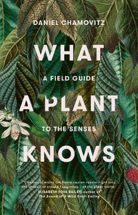 Cover image for What a Plant Knows: A Field Guide to the Senses (Revised Edition)
