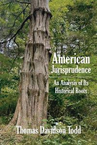 Cover image for American Jurisprudence: An Analysis of Its Historical Roots