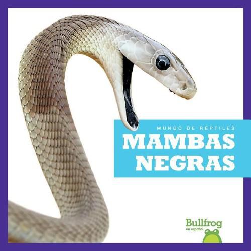 Cover image for Mambas Negras (Black Mambas)