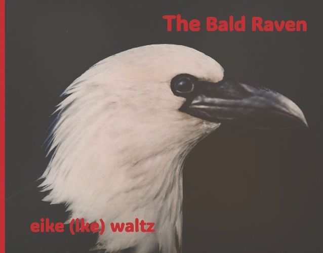 Cover image for The Bald Raven