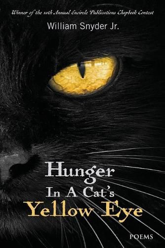 Cover image for Hunger In A Cat's Yellow Eye