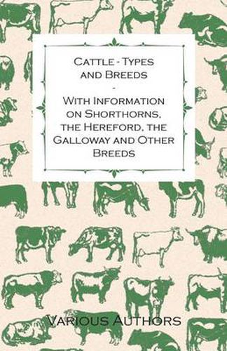 Cover image for Cattle - Types and Breeds - With Information on Shorthorns, The Hereford, The Galloway and Other Breeds