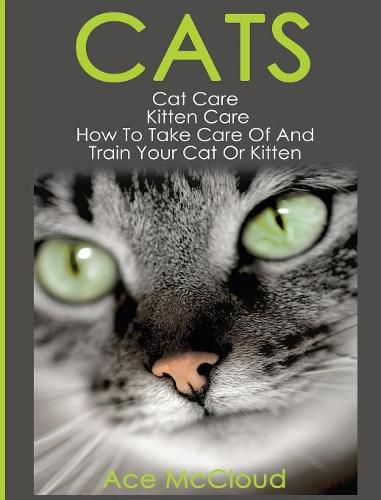 Cover image for Cats: Cat Care: Kitten Care: How To Take Care Of And Train Your Cat Or Kitten