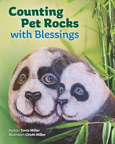 Cover image for Counting Pet Rocks