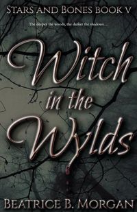 Cover image for Witch in the Wylds