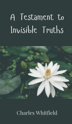 Cover image for A Testament to Invisible Truths