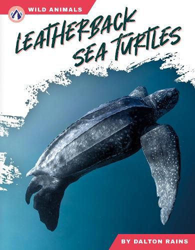 Cover image for Leatherback Sea Turtles