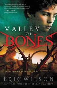 Cover image for Valley of Bones