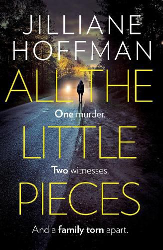 Cover image for All the Little Pieces