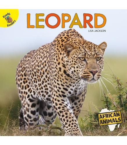 Cover image for Leopard