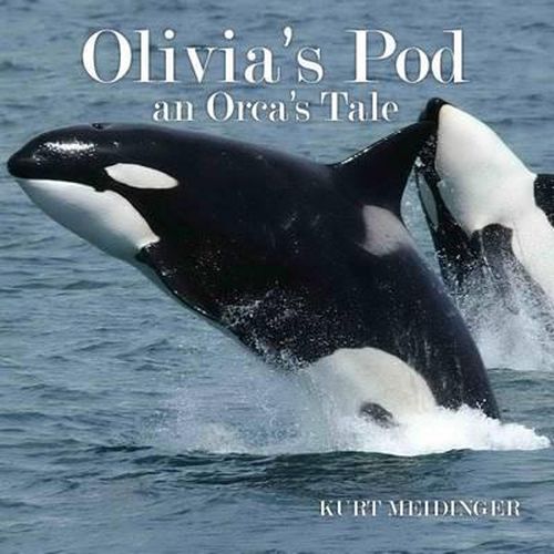 Cover image for Olivia's Pod: An Orca's Tale