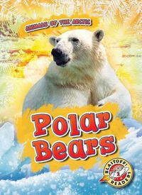 Cover image for Polar Bears