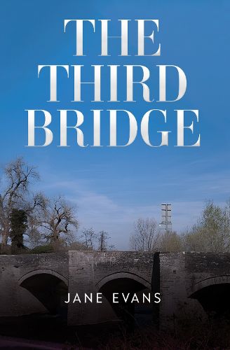 Cover image for The Third Bridge