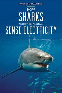 Cover image for How Sharks and Other Animals Sense Electricity