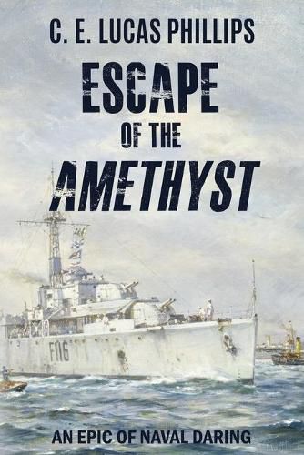 Cover image for Escape of the Amethyst