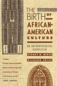 Cover image for The Birth of African-American Culture: An Anthropological Perspective