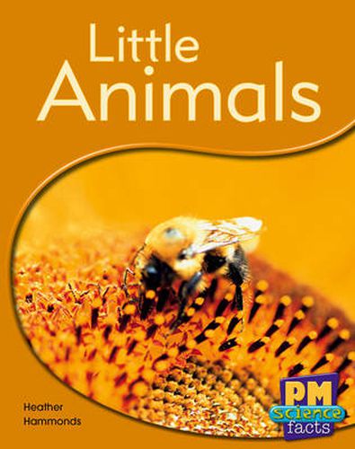 Little Animals