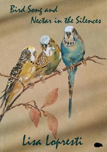 Cover image for Bird Song and Nectar in the Silences