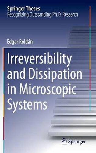 Cover image for Irreversibility and Dissipation in Microscopic Systems
