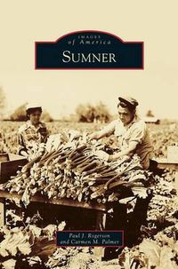 Cover image for Sumner