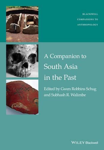 Cover image for A Companion to South Asia in the Past