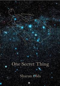 Cover image for One Secret Thing