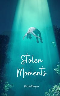 Cover image for Stolen Moments