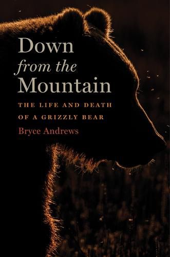 Cover image for Down from the Mountain: The Life and Death of a Grizzly Bear