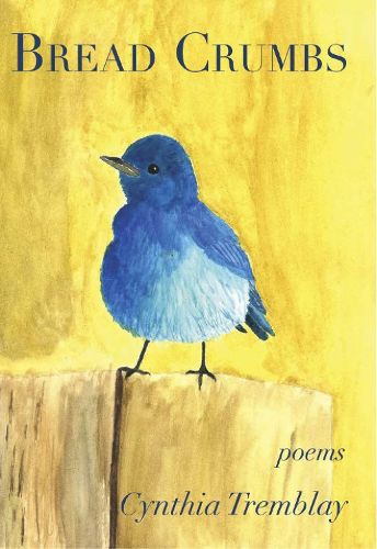 Cover image for Bread Crumbs