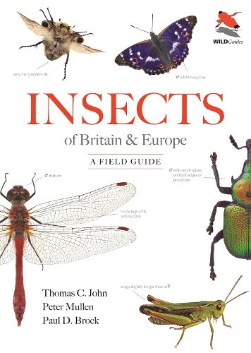 Cover image for Insects of Britain and Europe