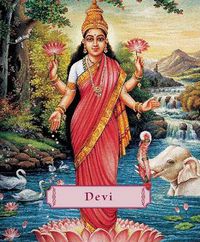 Cover image for Devi: The Divine Goddess