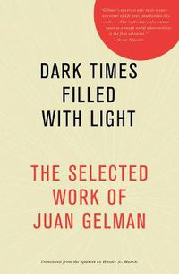 Cover image for Dark Times Filled With Light