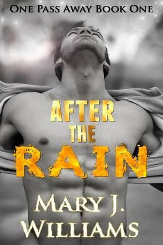 Cover image for After the Rain