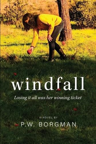 Cover image for Windfall