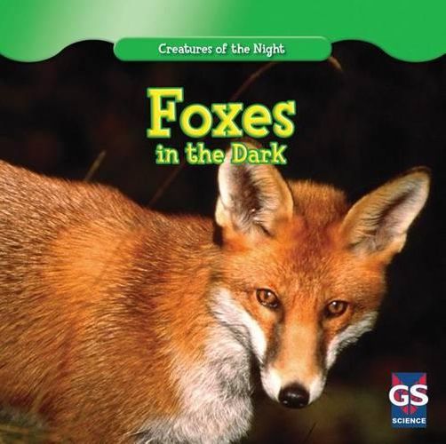 Cover image for Foxes in the Dark