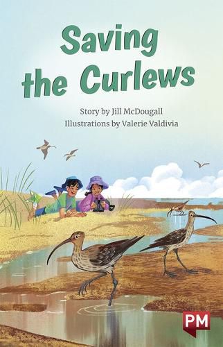 Saving the Curlews