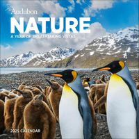 Cover image for Audubon Nature Wall Calendar 2025